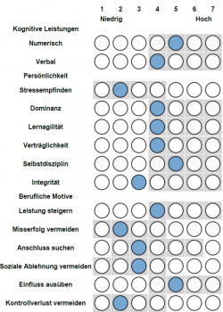 Potenzialanalyse Fur Fuhrungskrafte Leadership Potential Assessment